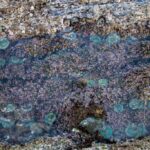 Cabrillo Beach Tide Pools & San Pedro Sunken City