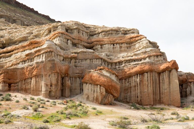 Red Rock Canyon State Park: Hiking, Camping, Rock Formations & Wildflowers