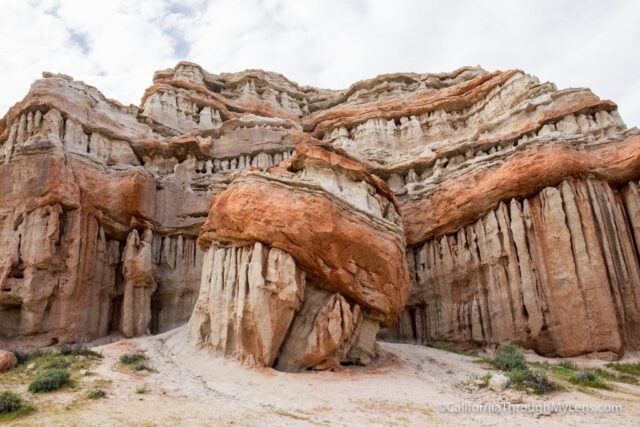 Tænk fremad Cataract Afhængighed Red Rock Canyon State Park: Hiking, Camping, Rock Formations & Wildflowers  - California Through My Lens