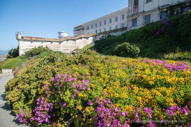 visit alcatraz island san francisco