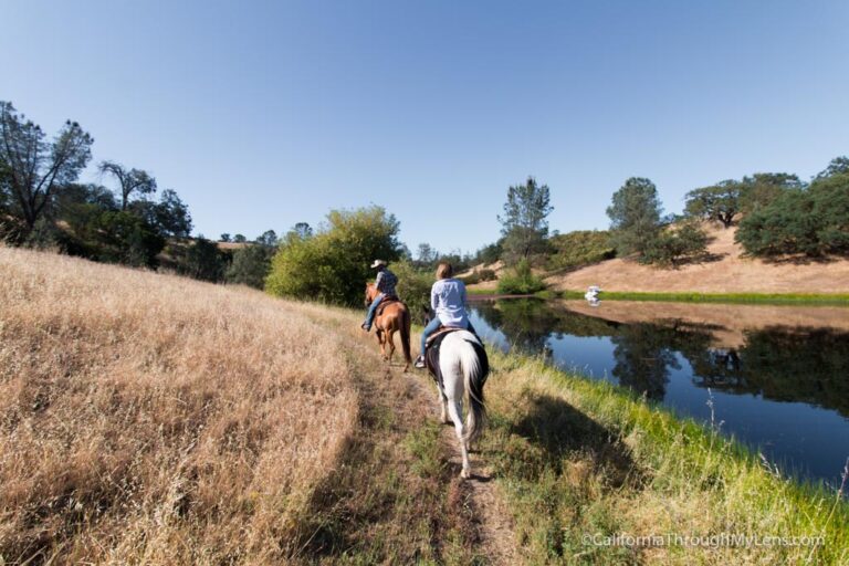 Central Coast Trail Rides in Paso Robles / Creston