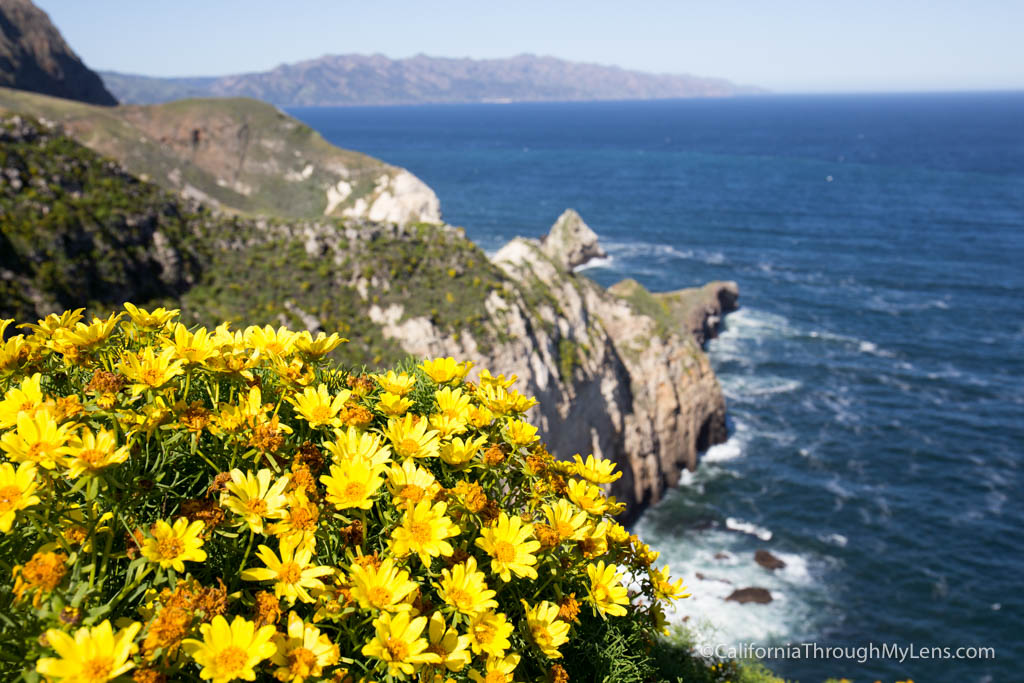 Channel Islands National Park Guide: Exploring California's Rugged ...