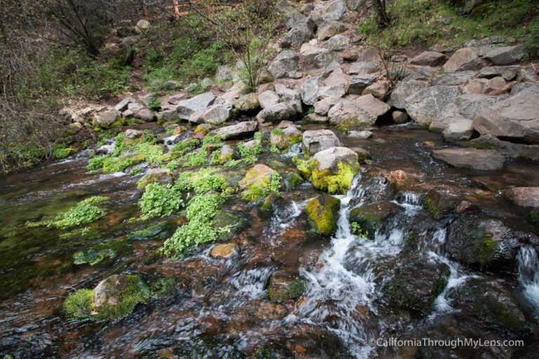 Headwaters of the Sacramento River in Mt Shasta City Park