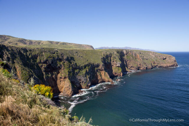  Santa Cruz Island Guide Hiking Camping Exploring 