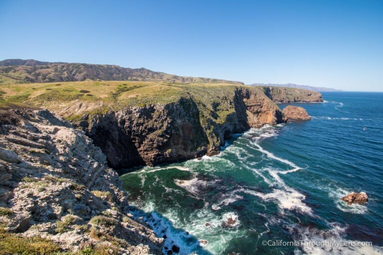 Santa Cruz Island Guide: Hiking, Camping & Exploring Channel Islands National Park’s Biggest Island
