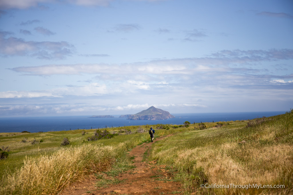 Channel Islands National Park Guide: Exploring California’s Rugged Islands