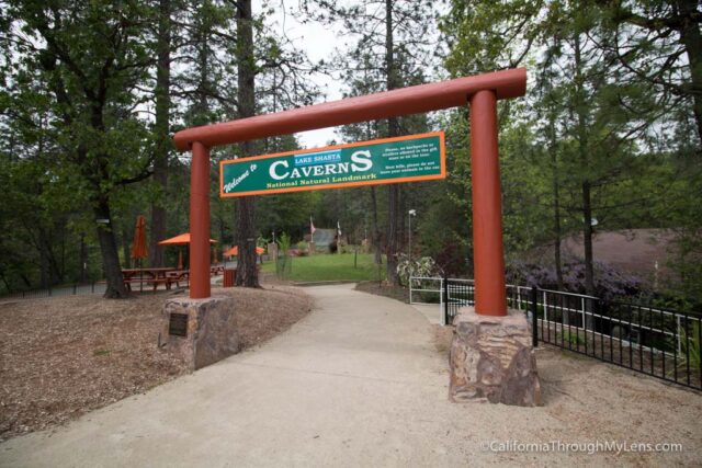 shasta caverns tours