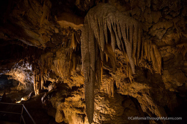 shasta caverns tours