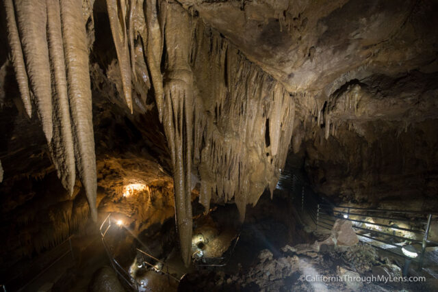 shasta caverns tours