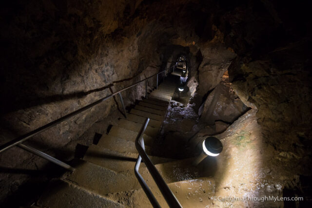 shasta caverns tours