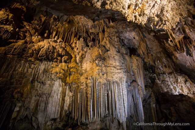 shasta caverns tours