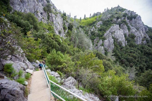 shasta caverns tours