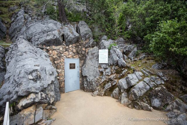 shasta caverns tours