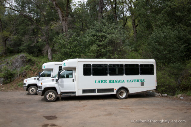 shasta caverns tours