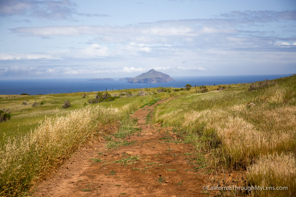 Smugglers Cove Hike on Santa Cruz Island: Channel Island's Most Popular ...