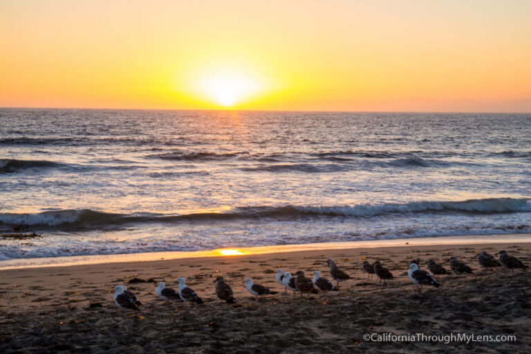 24 Hours in Torrance Itinerary: Restaurants, Beaches, Movie Locations & Malls