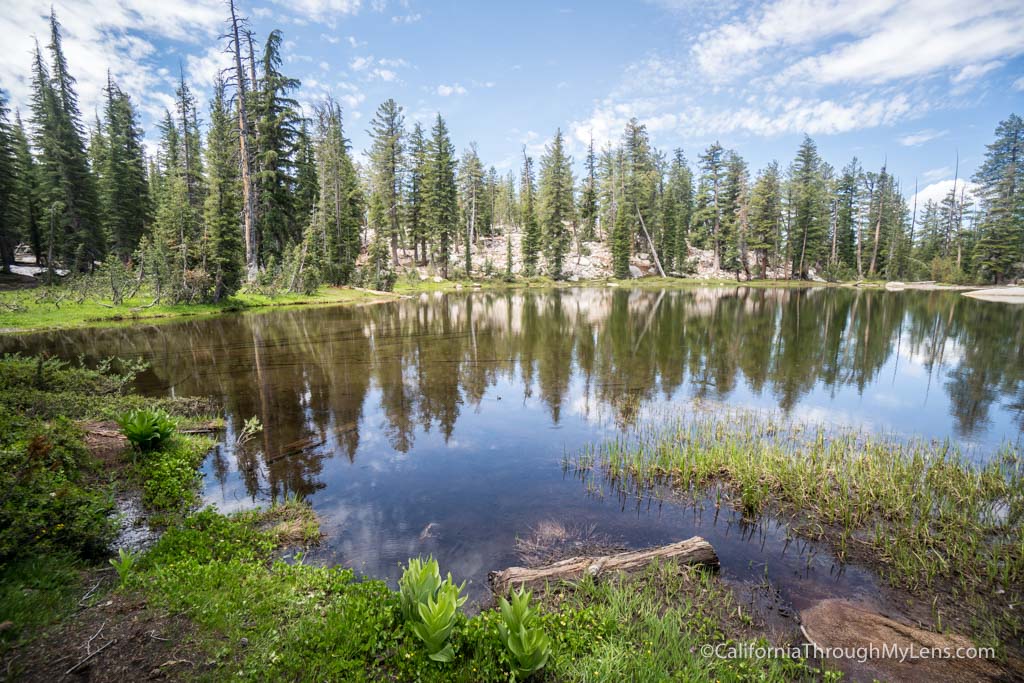 Clouds Rest Trail: A Hiking Guide to One of Yosemite's Best Viewpoints ...