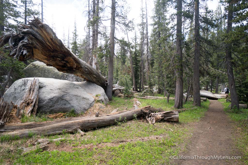 clouds rest trail head