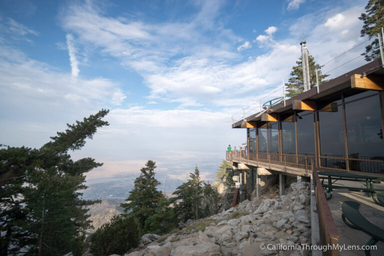 Palm Springs Aerial Tramway: Ride from the Cactus to the Clouds