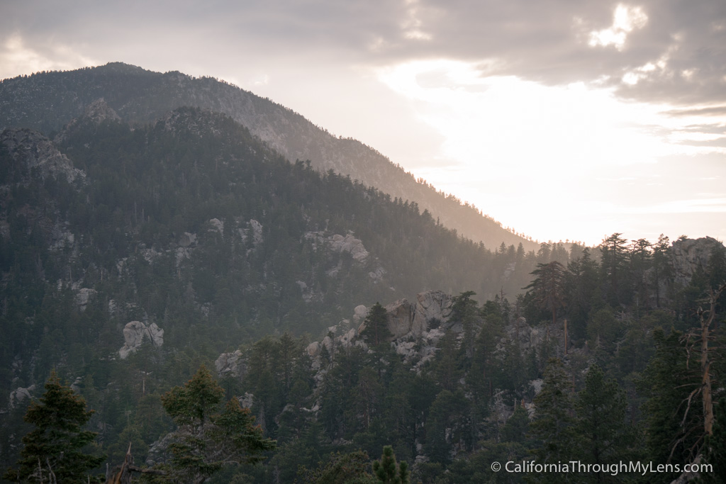 Palm Springs Aerial Tramway: Ride from the Cactus to the Clouds