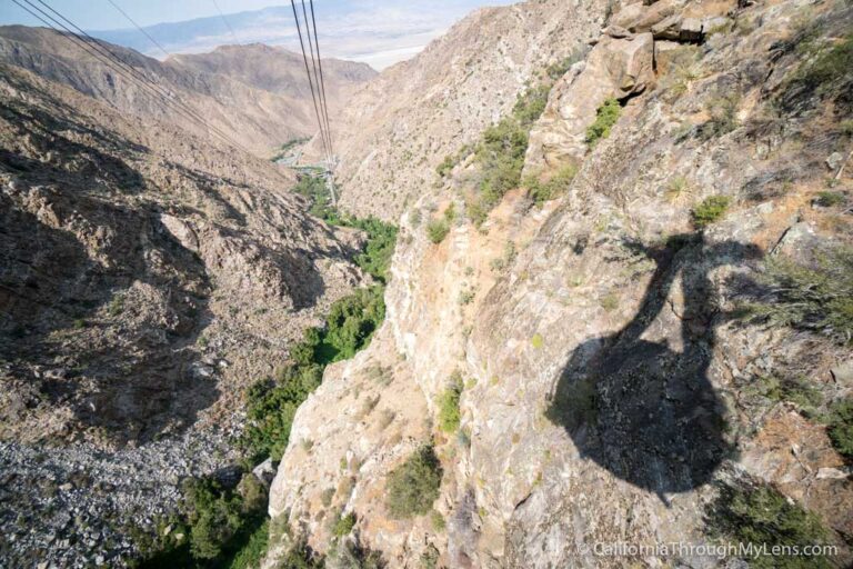 Palm Springs Aerial Tramway: Ride from the Cactus to the Clouds