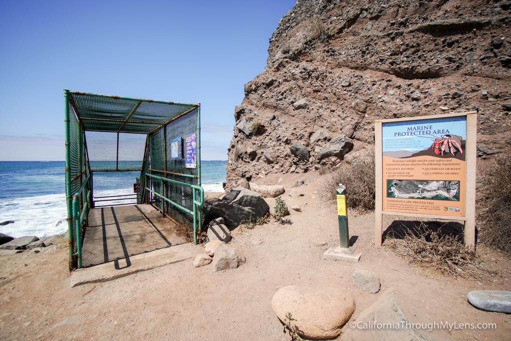 Dana Point Sea Caves Hiking to Pirate's Cave California Through My Lens