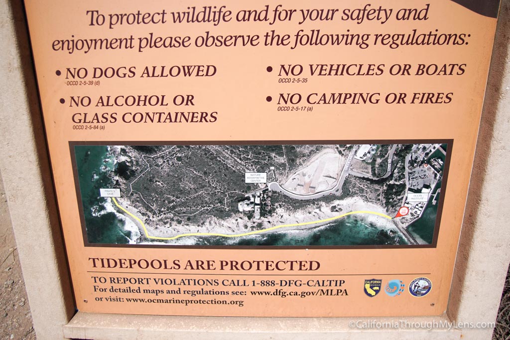 Dana Point Sea Caves Hiking to Pirate's Cave California Through My Lens