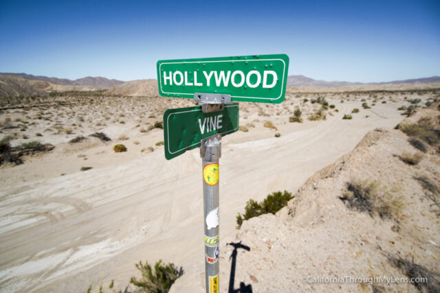 Hollywood & Vine