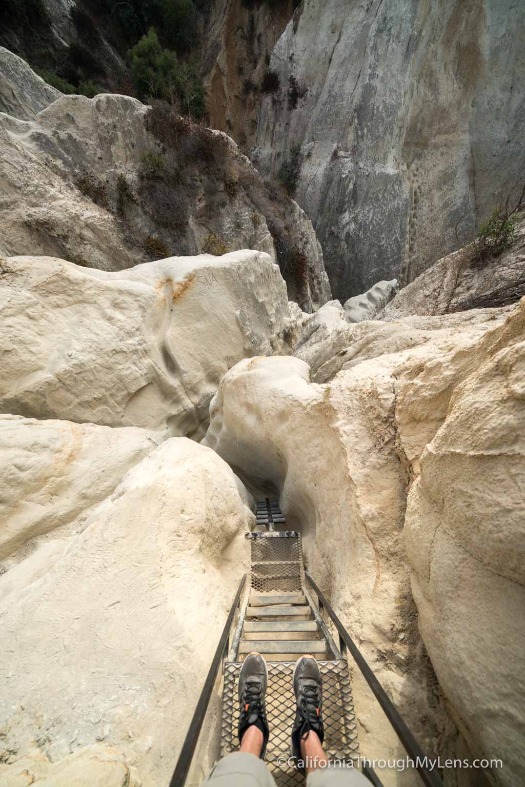 Annie’s Canyon Trail in Solana Beach California Through My Lens