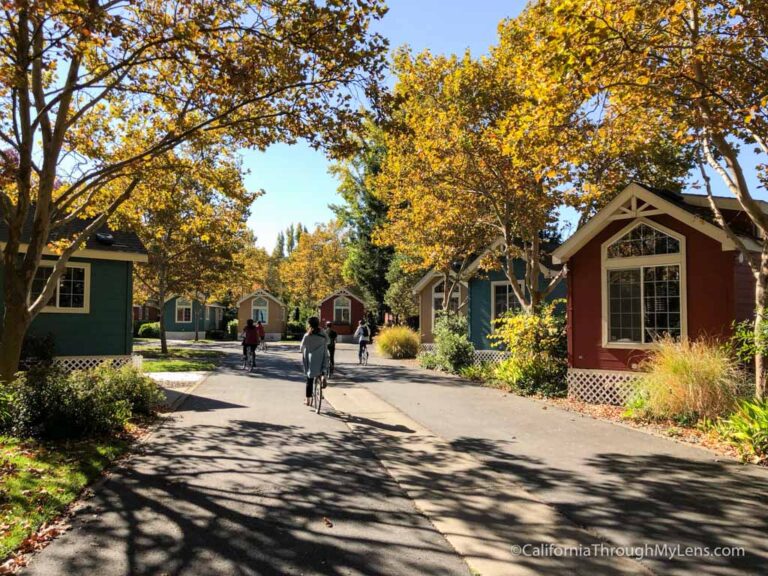 Biking in Downtown Napa Along the River Trail