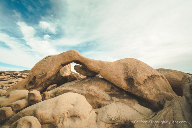 best place to visit joshua tree