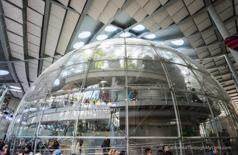 California Academy of Sciences in San Francisco's Golden Gate Park California Through My Lens