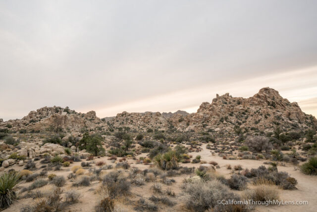 best place to visit joshua tree