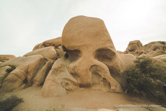 best place to visit joshua tree