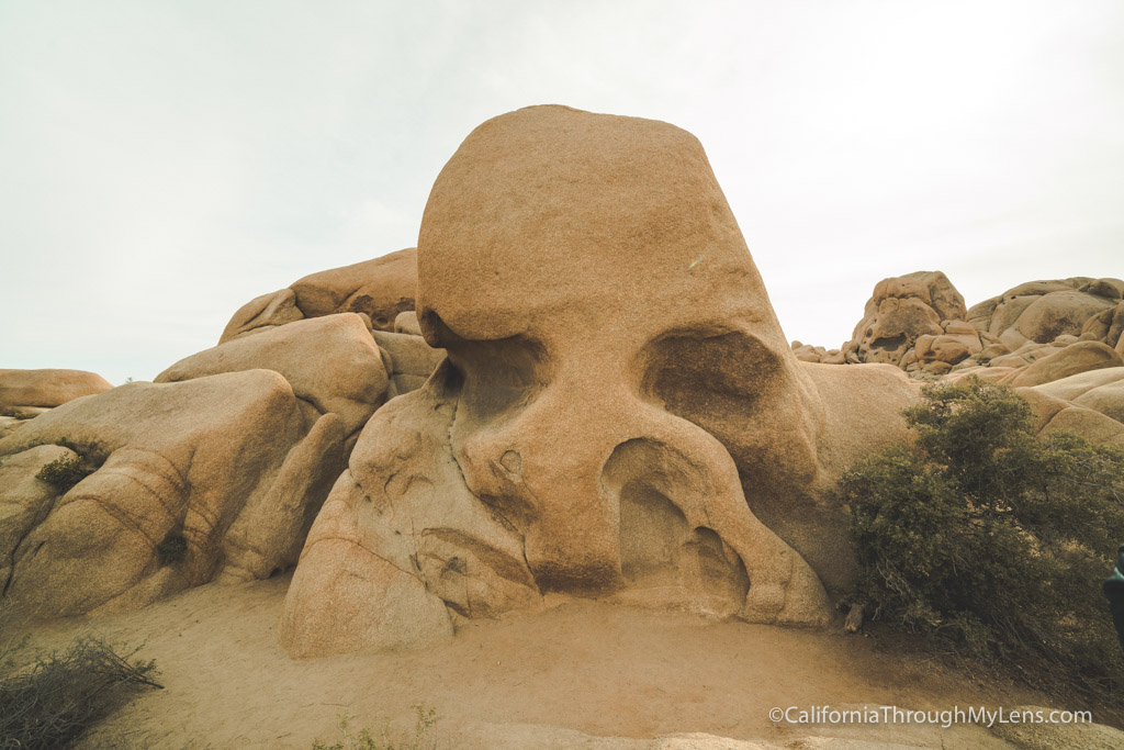 Joshua Tree National Park Guide: Hikes, Mines, Arches & Views