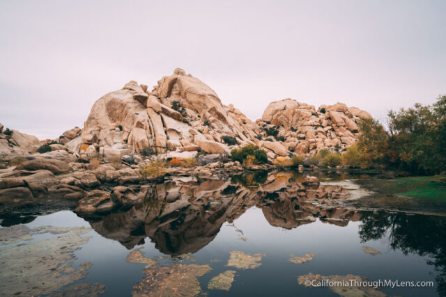 best place to visit joshua tree