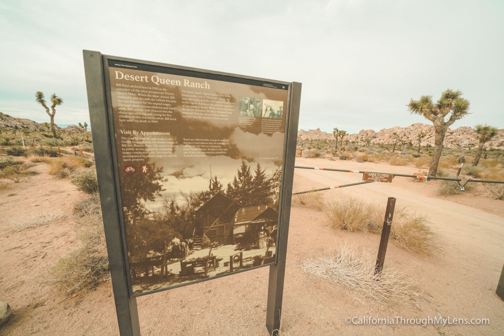 Key's Desert Queen Ranch Tour in Joshua Tree National Park - California ...