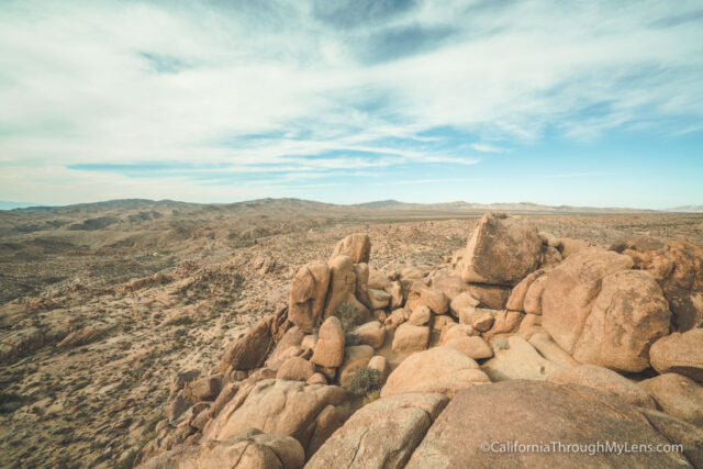 best place to visit joshua tree