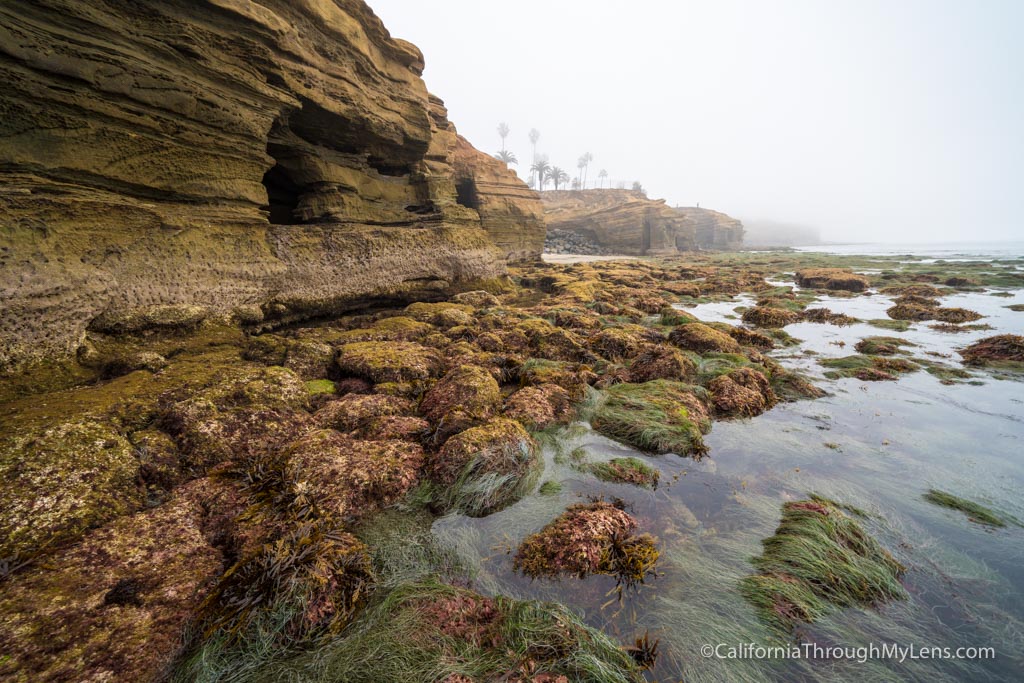 Sunset Cliffs Open Ceiling Sea Cave in San Diego California Through