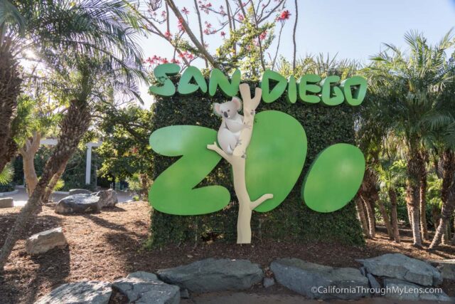 san diego zoo exhibits