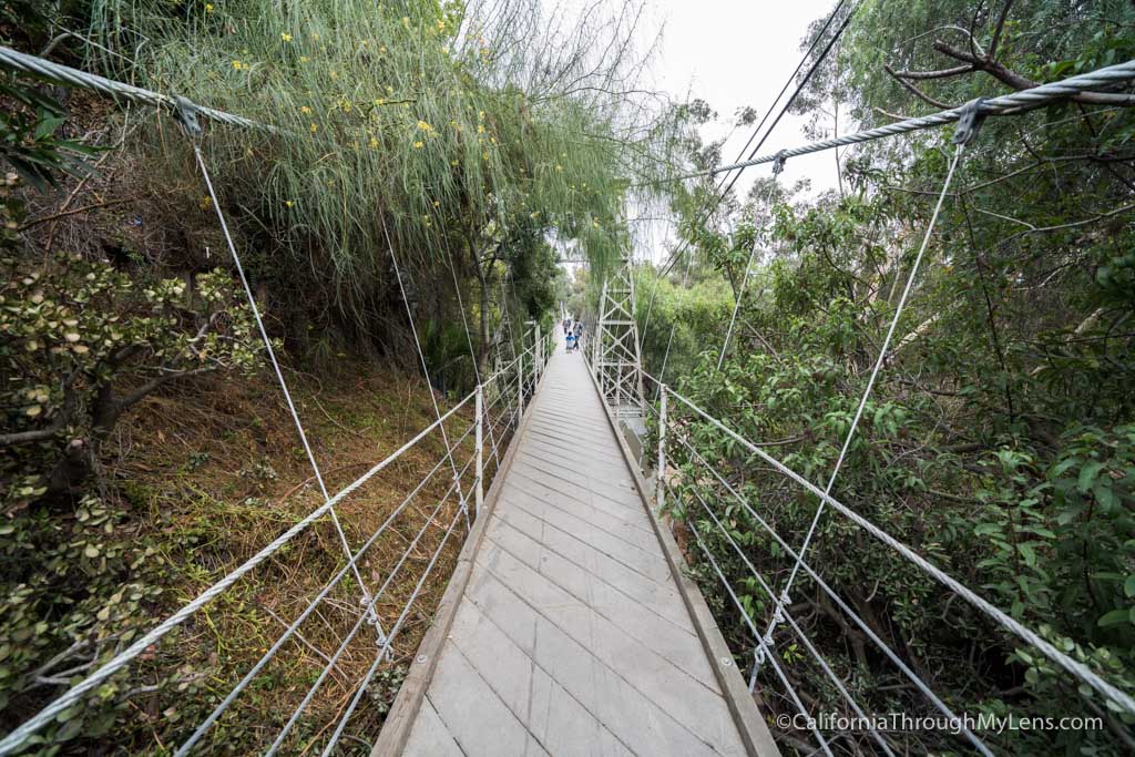 Spruce Street Suspension Bridge Historic Footbridge in San Diego