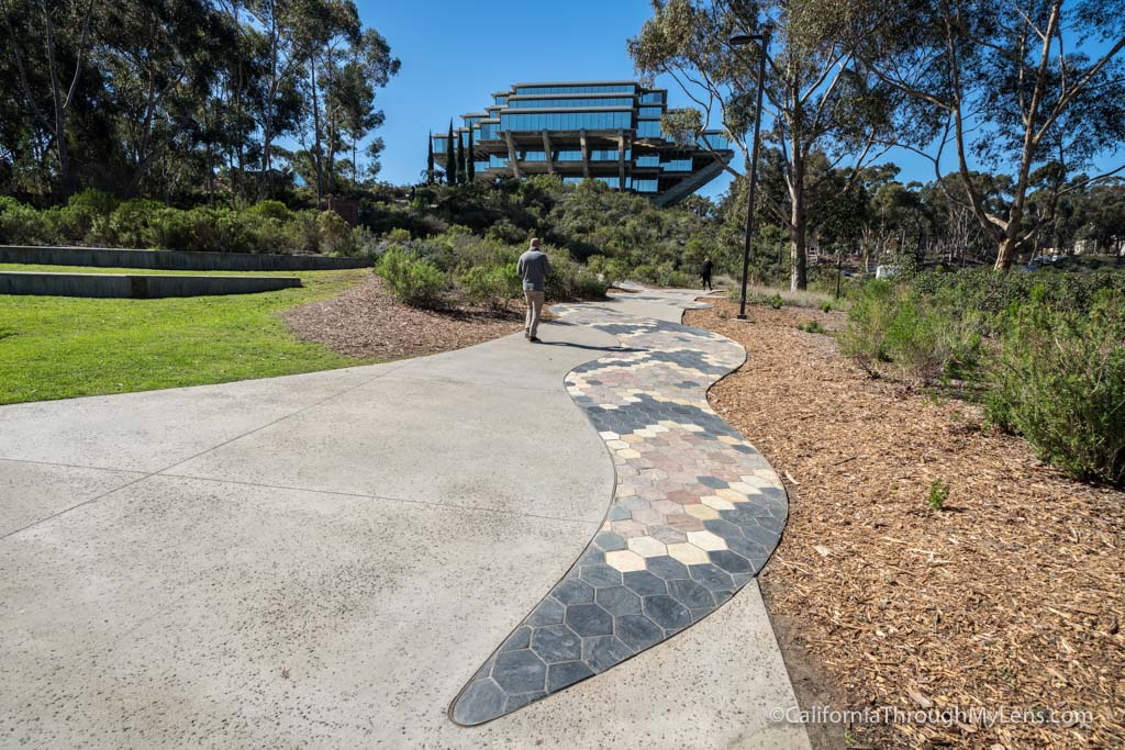 UCSD Stuart Art Collection Exploring the Giesell Library, Fallen Star