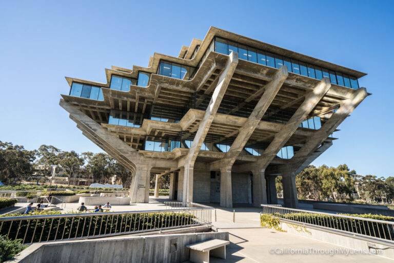 UCSD Stuart Art Collection: Exploring the Giesell Library, Fallen Star and More