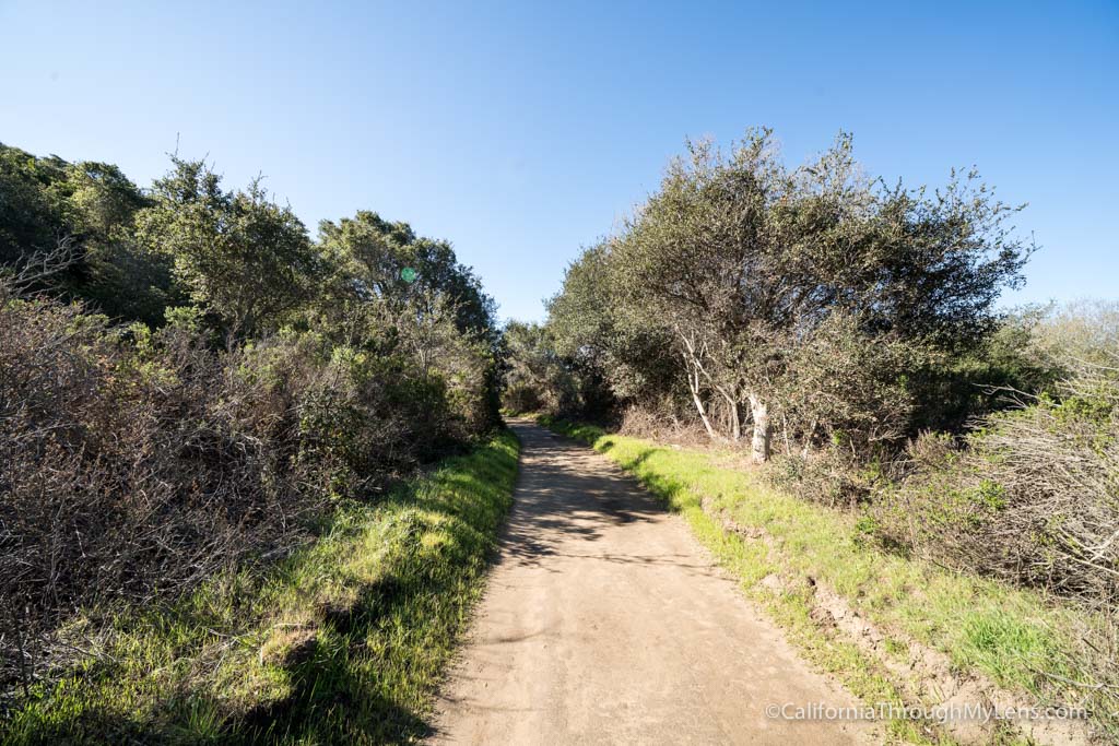 Andrew Molera State Park Beach Trail in Big Sur - California Through My ...