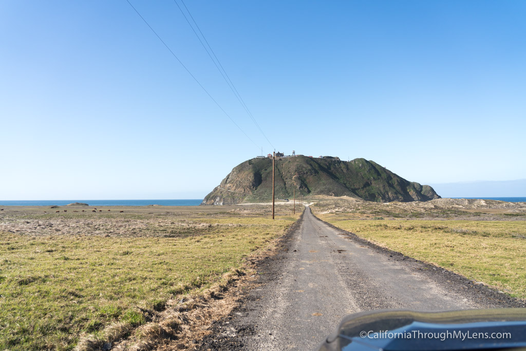 Point Sur Lighthouse Tour in Big Sur California Through My Lens