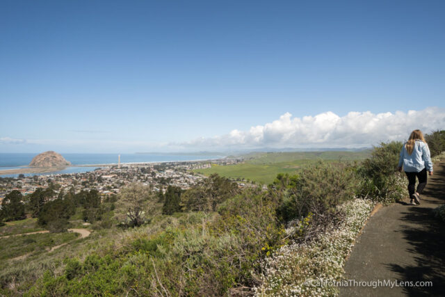 Morro bay hotsell state park hiking