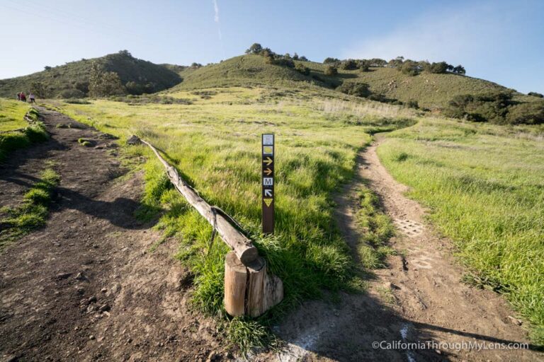 Cerro San Luis: Hiking 