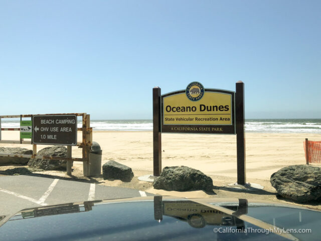 Pismo Beach Sand Dunes: The Essential Guide to Visiting Oceano Dunes