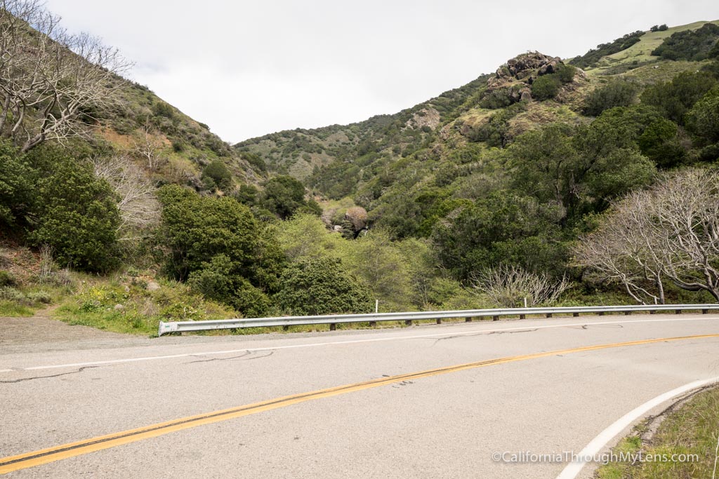 Salmon Creek Falls A Rugged Waterfall Hike in Big Sur California