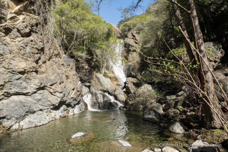 Salmon Creek Falls: A Rugged Waterfall Hike in Big Sur